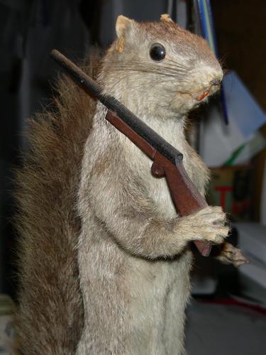 underland's profile picture. SF writer, poet. Once a Ford Republican, now apparently a socialist--without changing politically. Compromise on anti-oligarch.  Dual citizen US/CAN     #resist