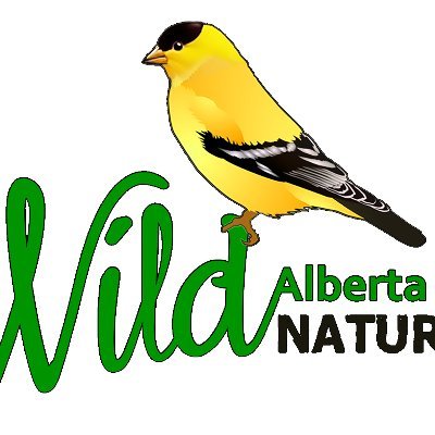 Exploring protected areas within central Alberta, to promote outdoor exploration.