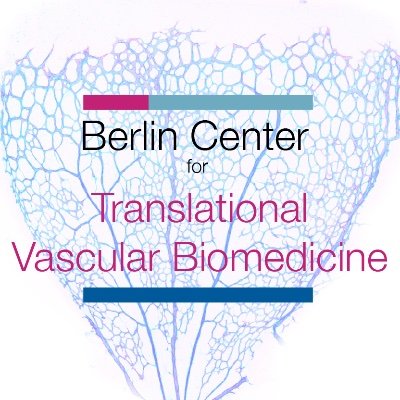 Translational Vascular Biomedicine Profile
