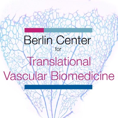 We are an interdisciplinary scientific network for translation in vascular biomedicine and part of @berlinnovation, @ChariteBerlin & @MDC_Berlin.