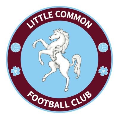 The official twitter feed of Little Common F C.