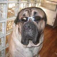 Dan Franovich (@spyderhere) 's Twitter Profile