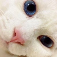 RAHMI CAROLINA. S (@rahmicarolina) 's Twitter Profile Photo