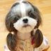 fang (@cao_lifang) Twitter profile photo fang (@cao_lifang) Twitter profile photo