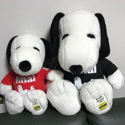 『不可抗力』瑞文CP💙💛底浮rest)SOTUS⚙🦁🐢KS ❤️🔥🇹🇭🏠有りほぼrt)BLアジア全般視聴🇰🇷韓国ミュージカル箱推し観劇🎶最推し俳優❤️会うため不定期渡韓✈️追っかけ🏃♀️聖地巡り👣史劇歴史💗君、花海棠の紅に…💗⛰🪢💗御朱印⛩🙏や日常の楽しみも呟く✨