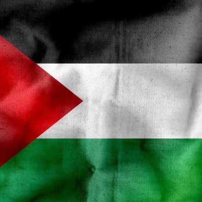 Free Palestine from the Terror state. AFL Supercoach fanatic, West Coast and Liverpool fan. DRSC patron