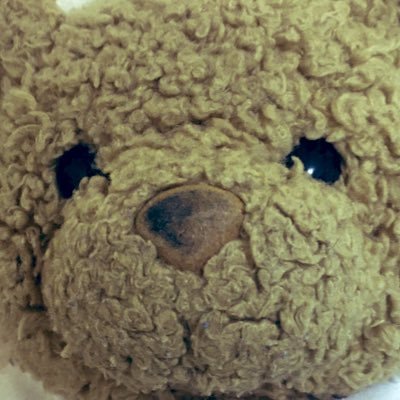 cantatomo's profile picture. 