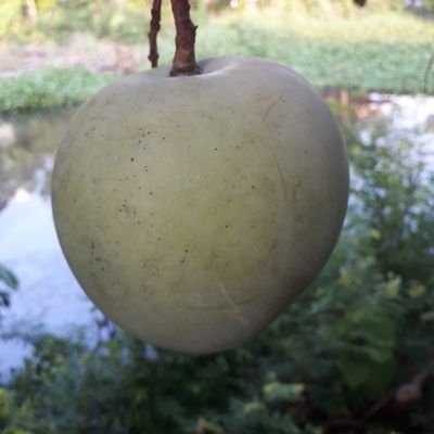 Wilawan22743897's profile picture. 