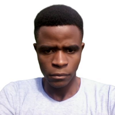Software developer, graphics designer and open source contributor (JavaScript)