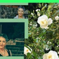 MA TERESA GARNICA FL (@teregoy) 's Twitter Profile