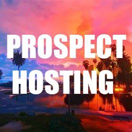 At Prospect Hosting, our focus is to give our customers a good and reliable hosting option, made in various sized and games, for anyone that could ever need one