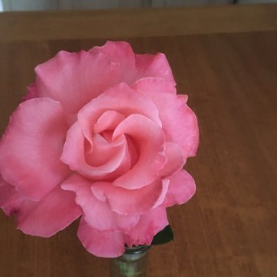 MarlenePatrice's profile picture. 