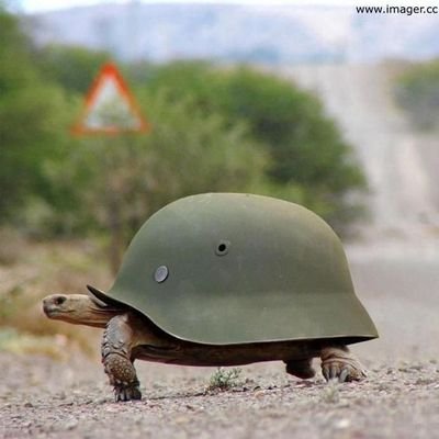 jesufo's profile picture. España.Sevillano