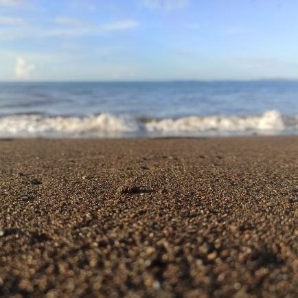 warriorjs93's profile picture. 