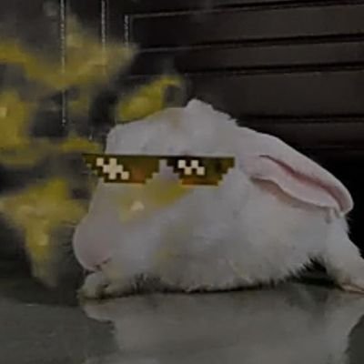 Mgidone's profile picture. 