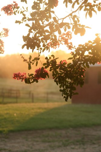 caw1201's profile picture. 