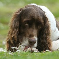 kevin standbridge (@kstandbridge1) 's Twitter Profile