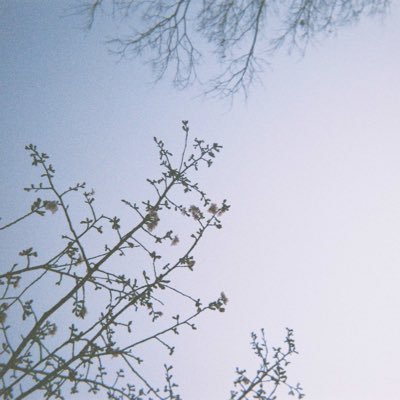 _pug_nari's profile picture. 