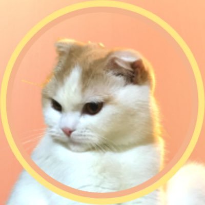 鬼ピーキーさんのプロフィール画像