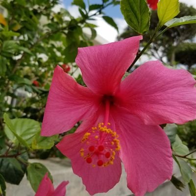 Rbni0KgIwX1M1l5's profile picture. 