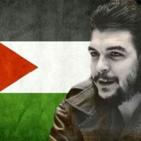 Elissar🌼 (@elissar15795492) 's Twitter Profile Photo