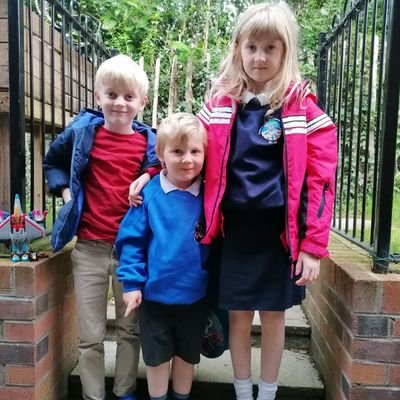 Roy McNeilly Profile