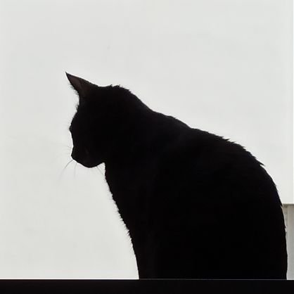 Er_Agapito's profile picture. 