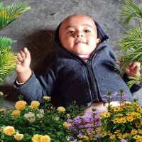 Iman Hossen (@imanhos70272332) 's Twitter Profile