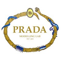 Prada Modelling Lab (@pradalab) 's Twitter Profile