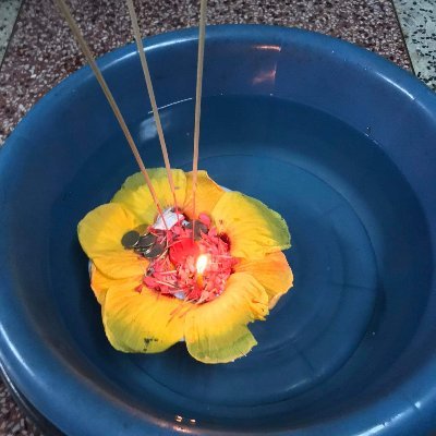 Linping55157819's profile picture. 