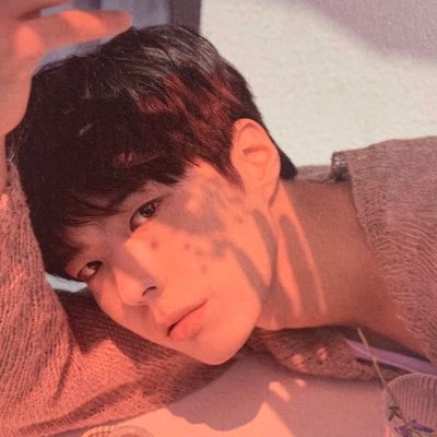 cabbagenonono's profile picture. PBG