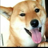 ๐ฏ๐ตๆด็ฌใใ๐ฏ๐ต (@ancom1213) 's Twitter Profile