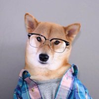 constantingao.eth (@constantingao) 's Twitter Profile