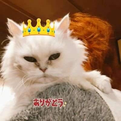 🍋レモン姫👸のママハッピーしゃん🍀さんのプロフィール画像