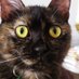 Fip Liliko (@fipliliko) Twitter profile photo Fip Liliko (@fipliliko) Twitter profile photo