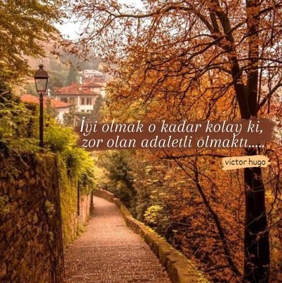 m_negis's profile picture. bir taş at! bir slogan ezberle!