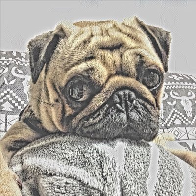 可愛すぎだろ 美味しいのくれるの の顔 パグ パグ好き 犬部 犬のいる幸せ ป ก คนร กส น ข 개를 좋아하는 퍼그 犬好きさんと繋がりたい 可愛すぎだろ 美味しいのくれるの の顔 パグ パグ好き 犬部 犬のいる幸せ ป ก คนร กส น ข 개를 좋아하는 퍼그 犬好きさんと繋がりたい