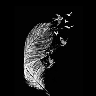 afnanMohammedAb's profile picture. 