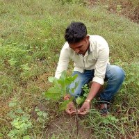 Kisu Agrawal (@kisuagrawal1) 's Twitter Profile