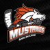 Melbourne Mustangs (@Mustangs_Hockey) Twitter profile photo