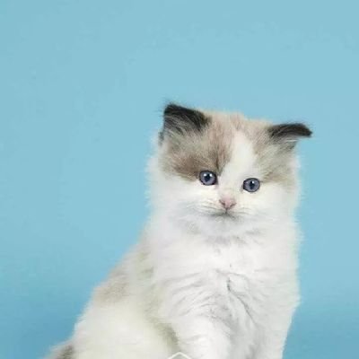 sayjune17's profile picture. 