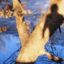 Patrick Kevin Riley - @rileykevin - Twitter