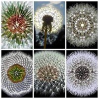 Arjan Schuw (@aschuw) 's Twitter Profile