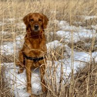 Delaney N (@delaneyn20) 's Twitter Profile