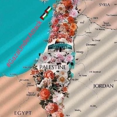 YN4AMPaqShKIckc's profile picture. 