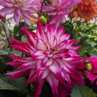 Spotsy Farmers Mkt (@spotsyfarmmkt) 's Twitter Profile