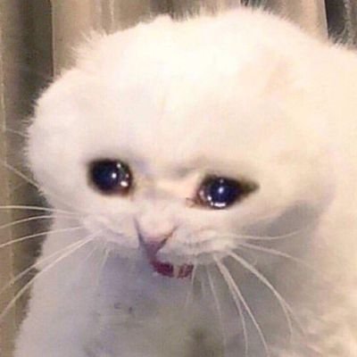 Flona66857496's profile picture. 