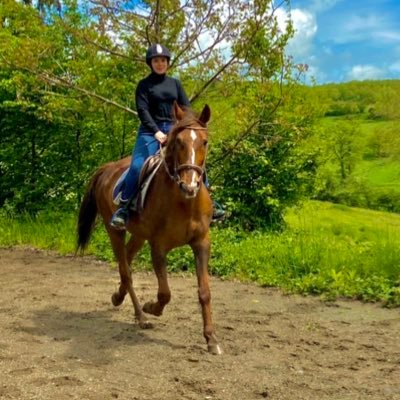 JulietteBrionn2's profile picture. 