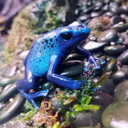 ZiB4ZX9vS28517F's profile picture. 