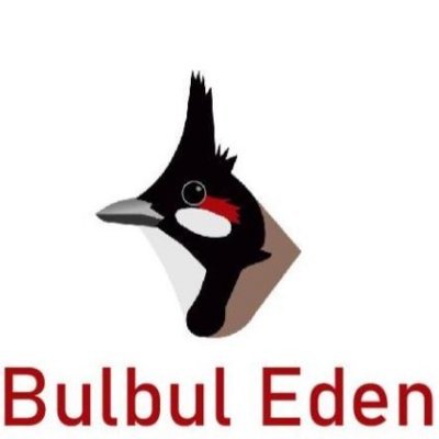 I'm a web dev. I have a channel on Youtube called bulbul eden.
https://t.co/Zv0OwhxN7K
Discord: Shashan#8975